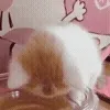 🐱