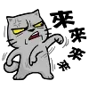๐พ