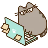 💻