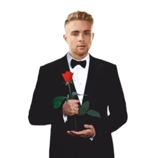 ❤️ uomo, smoking, rosa, fiore, formale, cravatta nera telegram sticker
