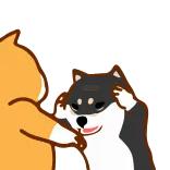 🖐 犬, 柴犬, 動物, 頭ポンポン, 可愛い, ペット whatsapp sticker