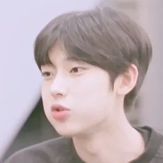 🥟 whatsapp sticker