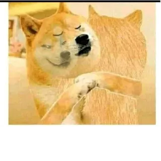 😁 doge, perro, meme, gracioso, mono, animal telegram sticker