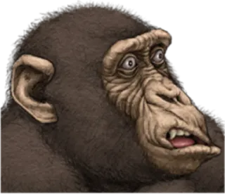 🐵 simpanse, simpanse, monyet, primata, kera, hewan, takut, khawatir telegram sticker