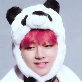 🐼 person, portrait, man, face, panda hat, cute telegram sticker