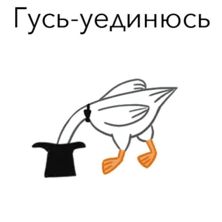 🙈 Гусь-уединяюсь 거위, 새, 모자, 러시아, 텍스트, 만화 telegram sticker