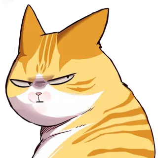 😾 kucing, marah, kesal, meme, stiker, kucing oranye telegram sticker
