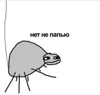 😏 нет не папью araña, gracioso, meme, insecto, dibujos animados telegram sticker