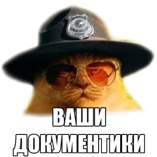 👮‍♀️ ВАШИ
ДОКУМЕНТИКИ gato, policía, agente, gafas de sol, gracioso, meme whatsapp sticker