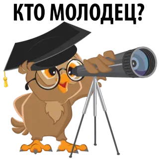 😛 КТО МОЛОДЕЦ? coruja, telescópio, chapéu de formatura, educação, bem-sucedido, russo whatsapp sticker