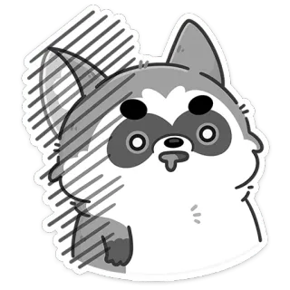 🤤 szop pracz, zwierzę, słodki, kreskówka, naklejka, ssak whatsapp sticker