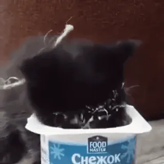 🥛 Снежок gato, yogur, comida, snack whatsapp sticker