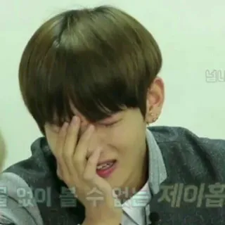 🐯 J-Hope 울 없이 볼 수 없는 제이홉 j-hope, kpop, bangtan, coreano, meme, triste, chorando telegram sticker