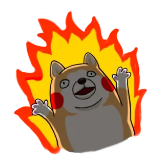 😈 doge, perro, meme, fuego, dibujos animados, gracioso, meme de internet whatsapp sticker