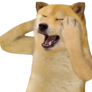 || ➜ YOUR AD HERE: @FGC_77x telegram stickers