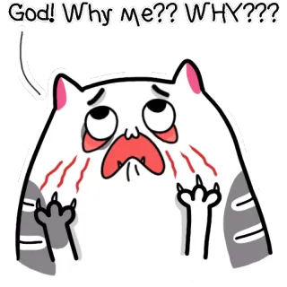 😫 God! Why me??? WHY??? Katze, traurig, weinend, Frage, Cartoon, Aufkleber telegram sticker