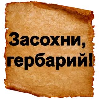 😡 Засохни, гербарий! telegram sticker