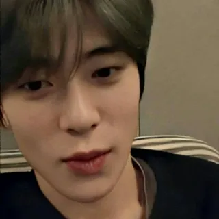 🦥 whatsapp sticker