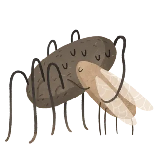 🤗 spider, moth, hug, cute, insect, friendship telegram sticker