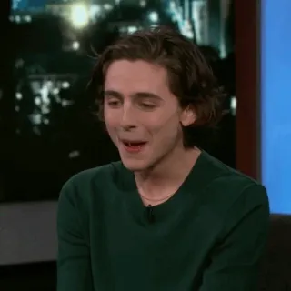 💎 Timothée Chalamet Timothée Chalamet, diễn viên, người nổi tiếng, đàn ông, áo sơ mi xanh lá cây telegram sticker