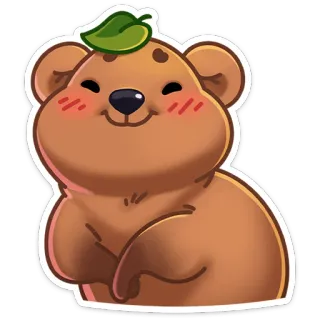 ☺️ Bär, niedlich, Tier, kawaii, Aufkleber whatsapp sticker
