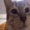😋
