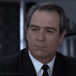 😏 freetopsticker man, acteur, uitdrukking, afkeuring, serieus, Men in Black, Tommy Lee Jones telegram sticker