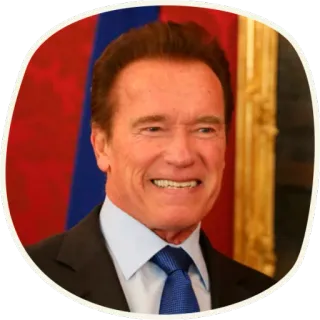 😁 Arnold Schwarzenegger ator, celebridade, político, pessoa telegram sticker
