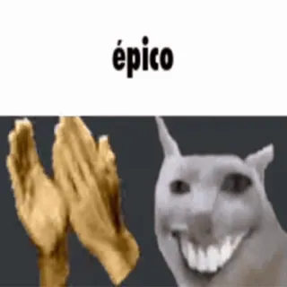👏 épico Meme, episch, klatschen, Katze whatsapp sticker
