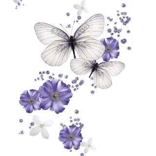 🦋 vlinder, bloemen, bloemmotief, lente, natuur, insecten telegram sticker