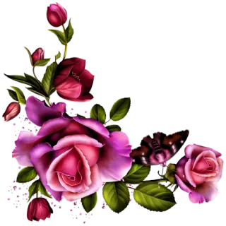 🌺 花, 玫瑰, 花卉, 花束, 植物, 自然, 蝴蝶, 装饰 telegram sticker
