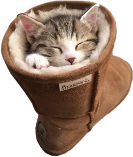 myCats telegram stickers