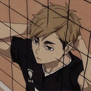 🍯 Anime, Siatkówka, Postać, Haikyuu, Manga, Sport telegram sticker