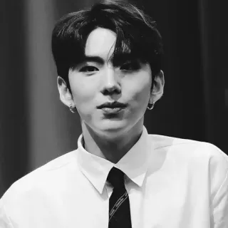 🌑 男人, 肖像, 领带, 衬衫, 韩国, 正装 telegram sticker