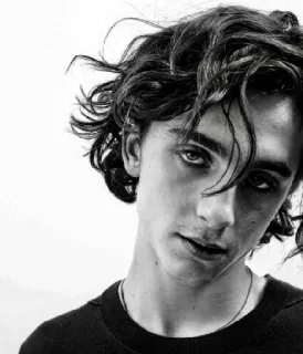 🦇 Timothée Chalamet actor, retrato, blanco y negro, celebridad telegram sticker