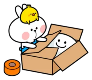 🙂 ウサギ, ひよこ, 箱, かわいい, 動物, ステッカー telegram sticker