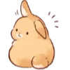 🐇