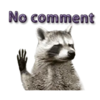 😐 No comment guaxinim, sem comentários, animal, meme whatsapp sticker