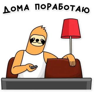 🏠 ДОМА ПОРАБОТАЮ paresseux, télétravail, drôle, animal, paresseux, mignon, bureau à domicile whatsapp sticker
