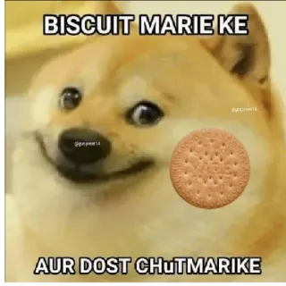 😌 BISCUIT MARIE KE AUR DOST CHUTMARIKE doge, meme, galleta, divertido, ofensivo telegram sticker