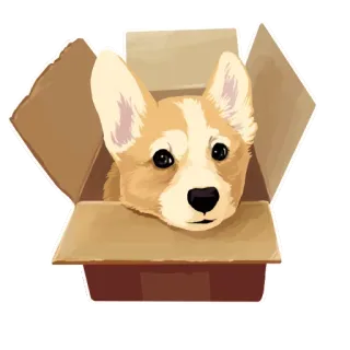 🐶 chó, corgi, hộp, dễ thương, động vật, thú cưng telegram sticker
