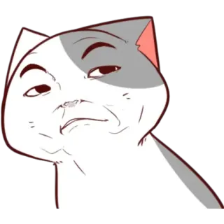 🥴 mèo, meme, hài hước, mỉa mai, biểu cảm, tự mãn telegram sticker