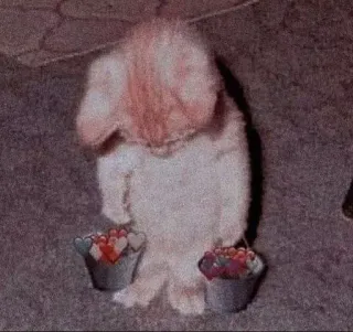 🌹 coelho, animal, brinquedo, corações, balde, amor, fofo telegram sticker