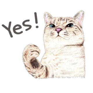 ✌ 고양이, 동물, 힘, 근육, 애완동물, 웃긴 telegram sticker