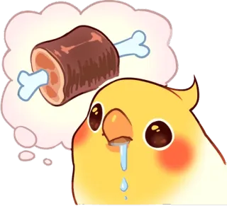 🤤 オカメインコ, 鳥, 可愛い, 夢, 肉, 食べ物, 動物, ペット telegram sticker