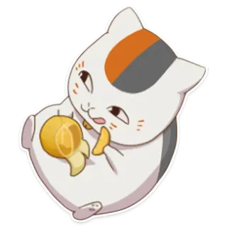 🍊 gato, adesivo, fofo, animal, emoji whatsapp sticker