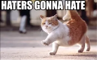 😇 HATERS GONNA HATE 猫, ミーム, アンチ, 動物, 面白い, ユーモア telegram sticker