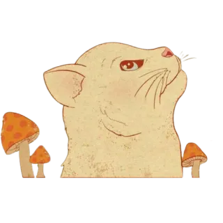 ✨ cat, mushroom, animal, cute, funny telegram sticker
