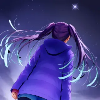 📕 animé, fille, nuit, étoile, vue de dos, sweat à capuche, queues de cheval telegram sticker