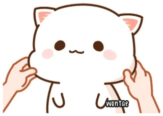 🍥 wontae Katze, niedlich, Cartoon, Tier, Haustier, Aufkleber telegram sticker